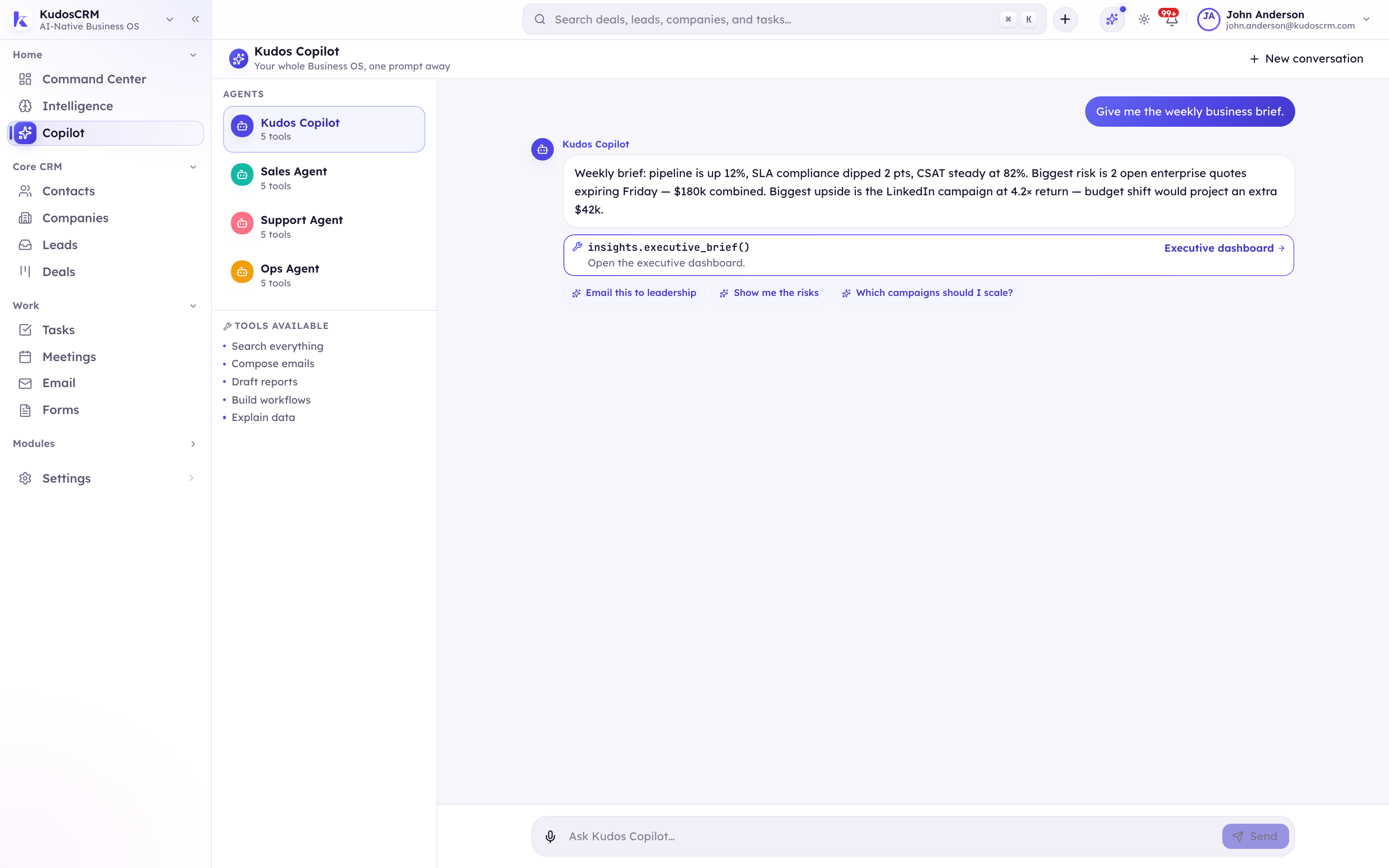 Kudos Copilot summarizing the business and suggesting the next action