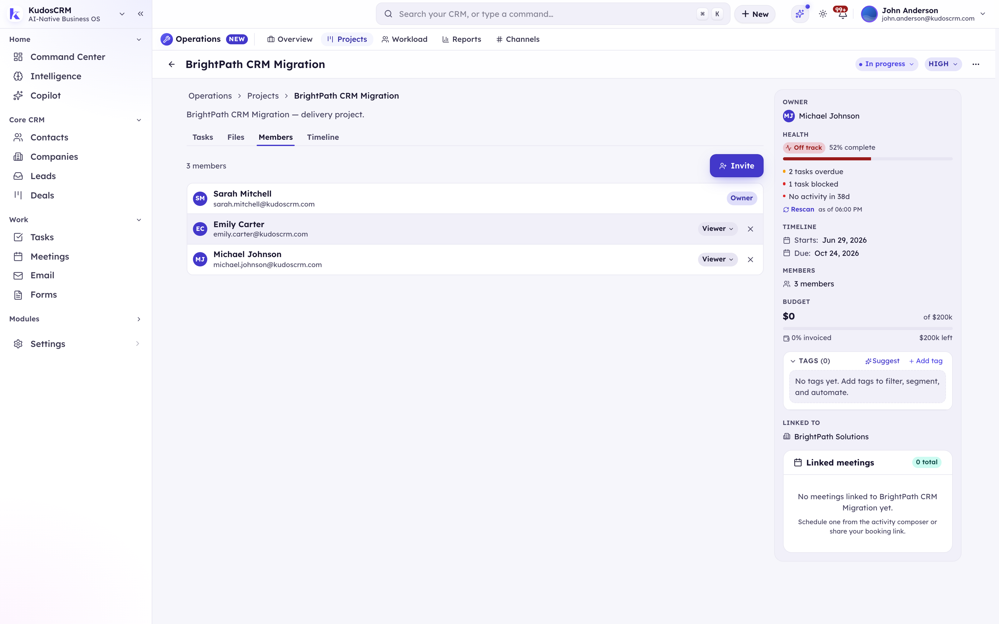 The members tab of a KudosCRM delivery project, showing each member's project role